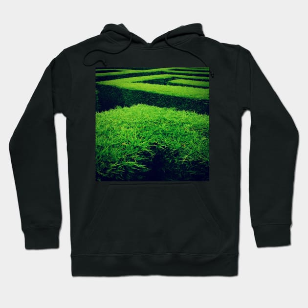 Maze Hoodie by robsteadman